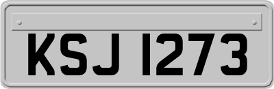KSJ1273