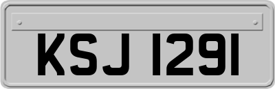 KSJ1291