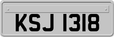 KSJ1318