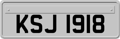 KSJ1918