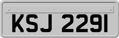 KSJ2291