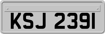 KSJ2391