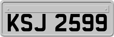 KSJ2599