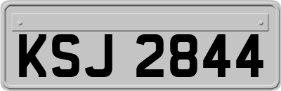 KSJ2844
