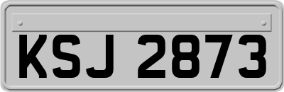 KSJ2873