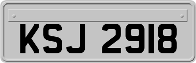 KSJ2918