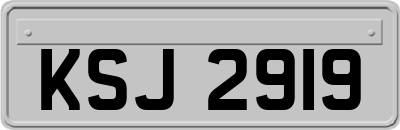 KSJ2919