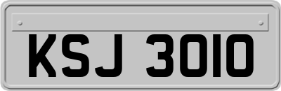 KSJ3010