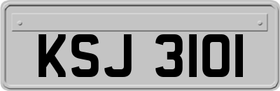 KSJ3101