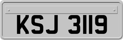 KSJ3119