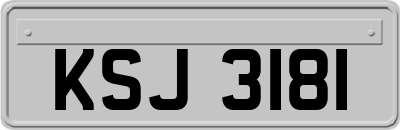 KSJ3181