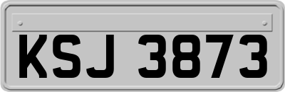 KSJ3873