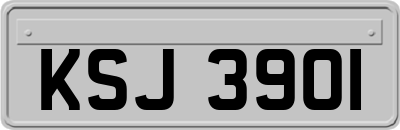 KSJ3901