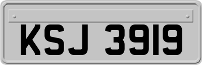 KSJ3919