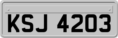 KSJ4203