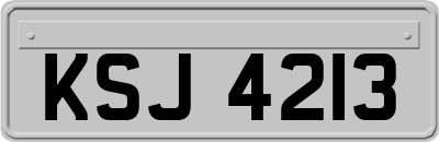 KSJ4213