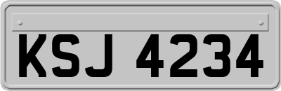 KSJ4234