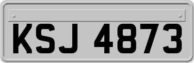 KSJ4873