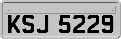 KSJ5229