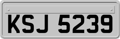 KSJ5239