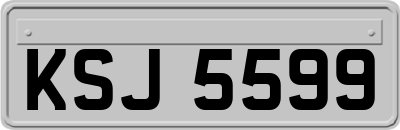 KSJ5599