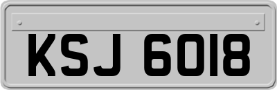 KSJ6018