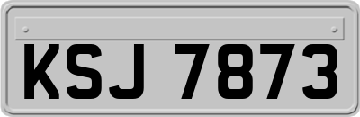 KSJ7873