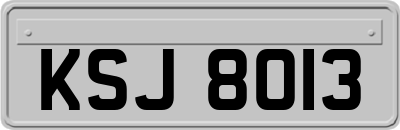 KSJ8013