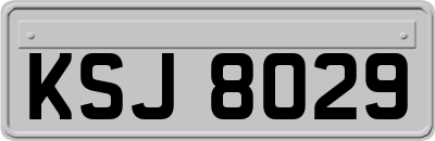 KSJ8029