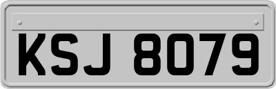 KSJ8079