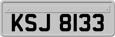 KSJ8133