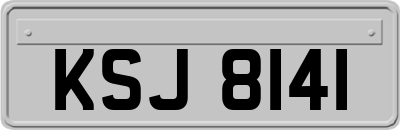 KSJ8141
