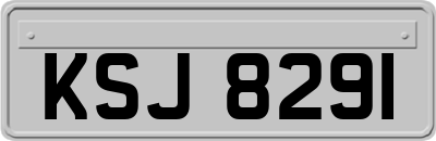 KSJ8291