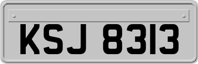 KSJ8313
