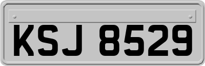 KSJ8529
