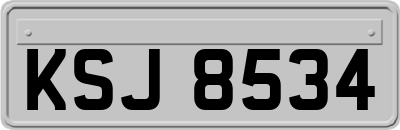 KSJ8534