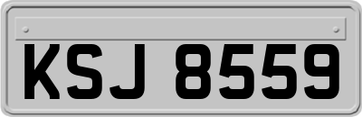 KSJ8559