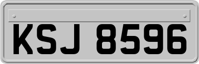 KSJ8596