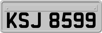 KSJ8599