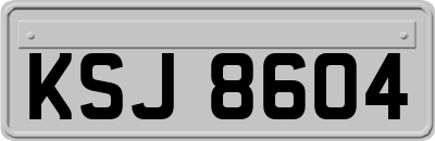KSJ8604