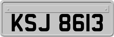 KSJ8613