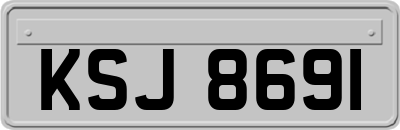 KSJ8691
