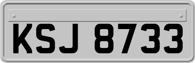 KSJ8733