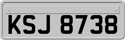 KSJ8738