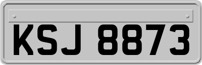 KSJ8873