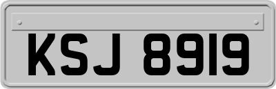 KSJ8919