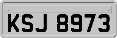KSJ8973