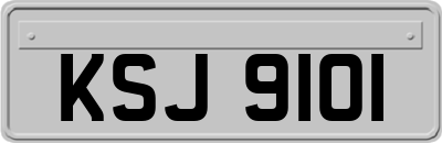 KSJ9101