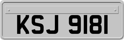 KSJ9181