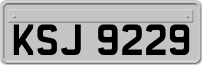 KSJ9229